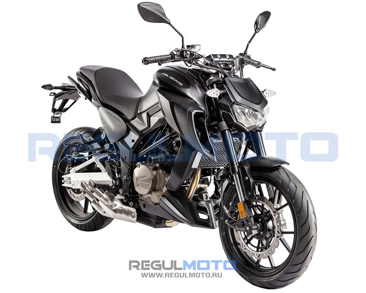 Мотоцикл Regulmoto ALIEN MONSTER 300 Серый